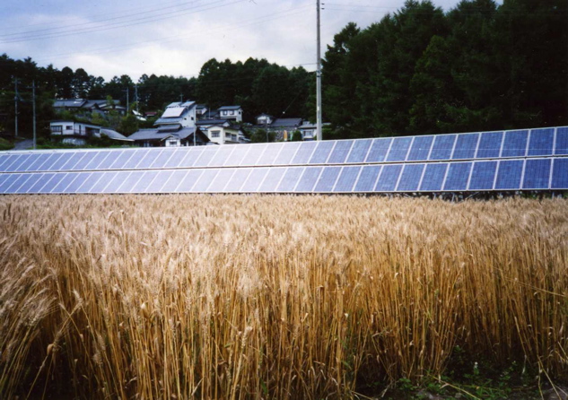 浅川太陽光発電所033